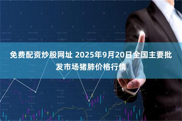免费配资炒股网址 2025年9月20日全国主要批发市场猪肺价格行情